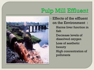  Effects

of the effluent
on the Environment :
• Harms liver function in

fish
• Decrease levels of
dissolved oxygen
• Loss of aesthetic
beauty
• High concentration of
pollutants

 