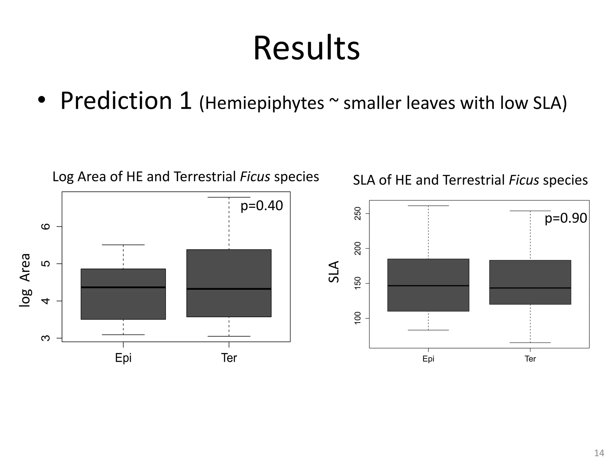Results
• Prediction 1 (Hemiepiphytes ~ smaller leaves with low SLA)
Log Area of HE and Terrestrial Ficus species

SLA of HE and epiphytic and terrestrial Ficus specie
SLA variation between Terrestrial Ficus species
250

p=0.40

200
150

SLA

5

100

4
3

Area
log logArea

6

p=0.90

Epi

Ter

Epi

Ter

14

 
