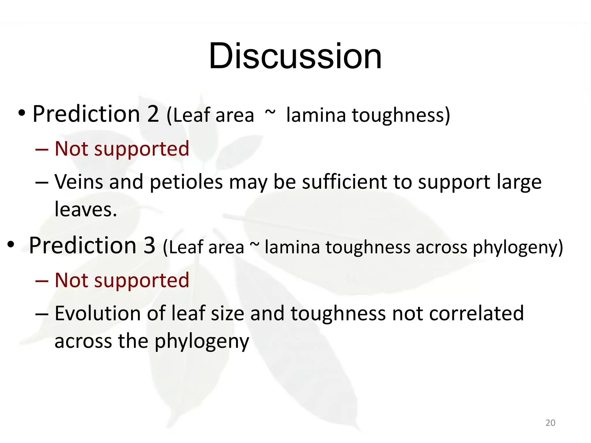 Discussion
• Prediction 2 (Leaf area ~ lamina toughness)
– Not supported
– Veins and petioles may be sufficient to support large
leaves.

• Prediction 3 (Leaf area ~ lamina toughness across phylogeny)
– Not supported
– Evolution of leaf size and toughness not correlated
across the phylogeny

20

 