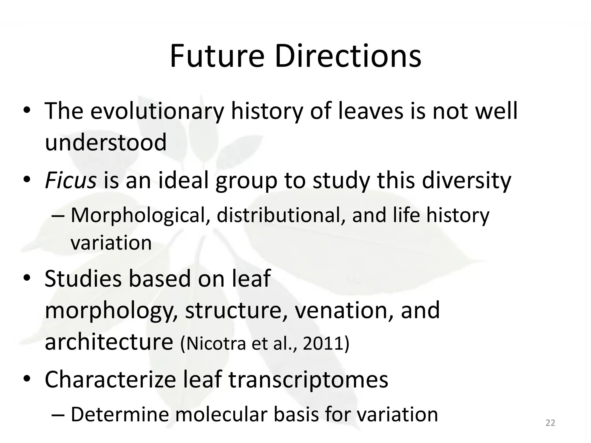 Future Directions
• The evolutionary history of leaves is not well
understood
• Ficus is an ideal group to study this diversity
– Morphological, distributional, and life history
variation

• Studies based on leaf
morphology, structure, venation, and
architecture (Nicotra et al., 2011)
• Characterize leaf transcriptomes
– Determine molecular basis for variation

22

 