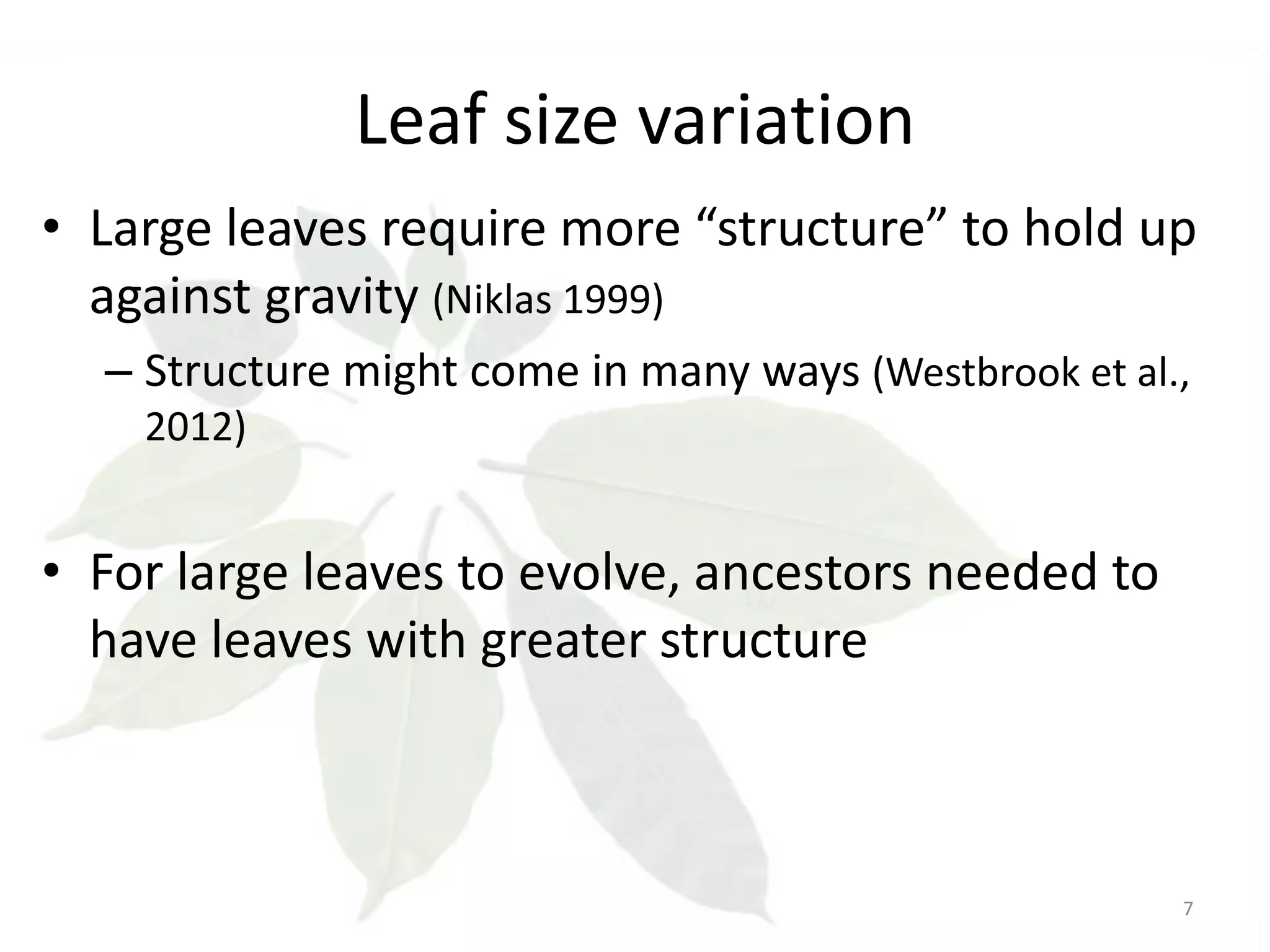 Leaf size variation
• Large leaves require more “structure” to hold up
against gravity (Niklas 1999)
– Structure might come in many ways (Westbrook et al.,
2012)

• For large leaves to evolve, ancestors needed to
have leaves with greater structure

7

 
