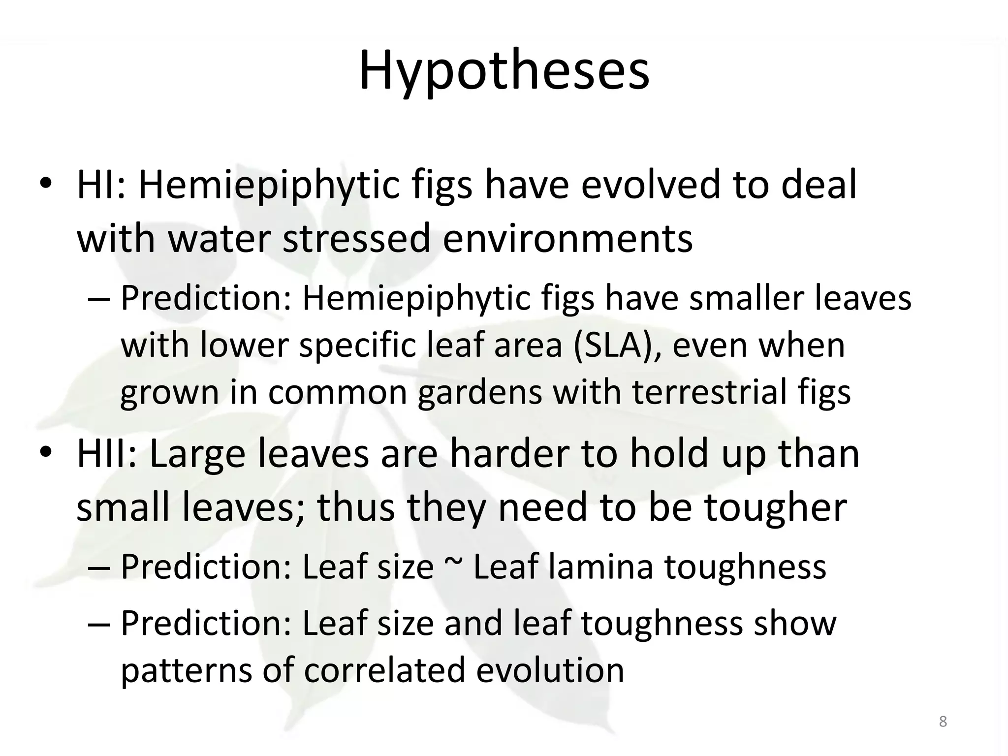 Hypotheses
• HI: Hemiepiphytic figs have evolved to deal
with water stressed environments
– Prediction: Hemiepiphytic figs have smaller leaves
with lower specific leaf area (SLA), even when
grown in common gardens with terrestrial figs

• HII: Large leaves are harder to hold up than
small leaves; thus they need to be tougher
– Prediction: Leaf size ~ Leaf lamina toughness
– Prediction: Leaf size and leaf toughness show
patterns of correlated evolution
8

 
