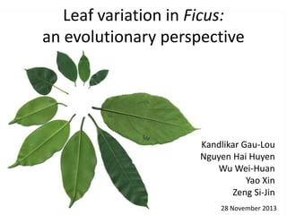 Leaf variation in Ficus:
an evolutionary perspective

Kandlikar Gau-Lou
Nguyen Hai Huyen
Wu Wei-Huan
Yao Xin
Zeng Si-Jin
28 November 2013

 