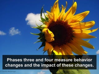Phases three and four measure behavior changes and the impact of these changes. 