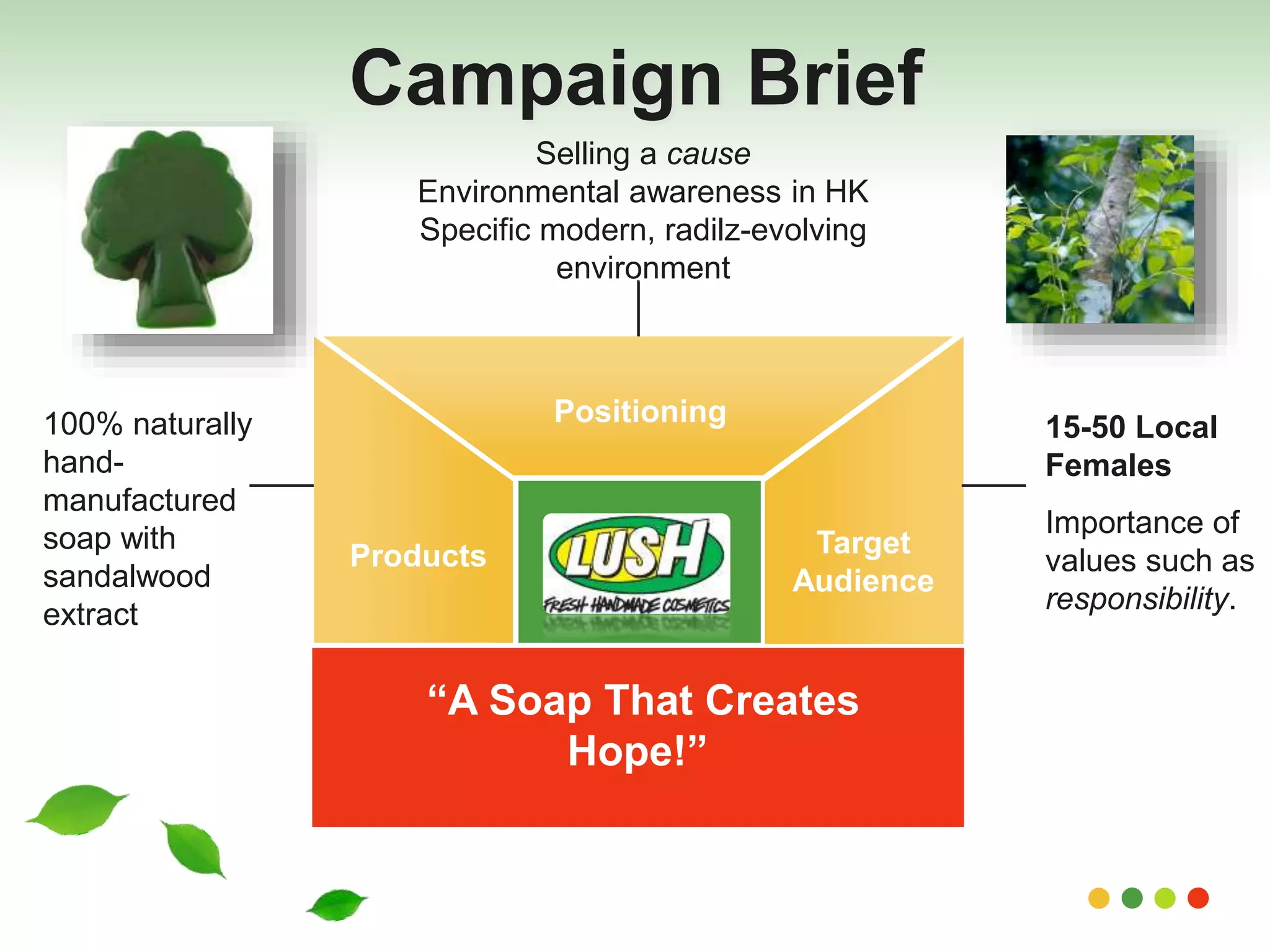Campaign Brief 
Selling a cause 
Environmental awareness in HK 
Specific modern, radilz-evolving 
environment 
Positioning 
Products Target 
Audience 
“A Soap That Creates 
Hope!” 
15-50 Local 
Females 
Importance of 
values such as 
responsibility. 
100% naturally 
hand-manufactured 
soap with 
sandalwood 
extract 
 