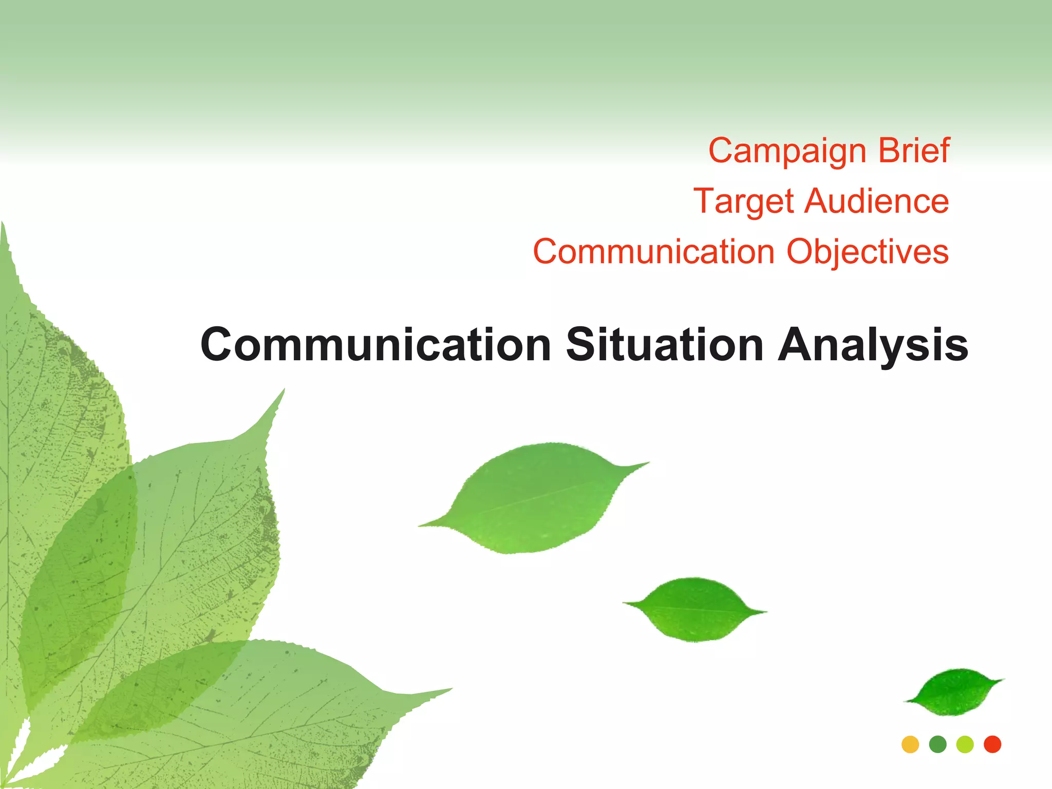Campaign Brief 
Target Audience 
Communication Objectives 
Communication Situation Analysis 
 