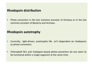 Evolution of photosynthesis | PPTX