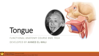 Tongue
FUNCTIONAL ANATOMY COURSE BME 7014
DEVELOPED BY AHMED EL-WALI
1
Ahmed El-Wali
Functional Anatomy Course BME 7014
 