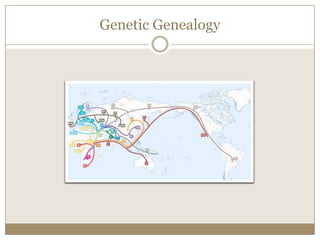 HaplogroupsWe all stemmed from one ancestor.---ACTGA------ACTAA---How did certain groups of people diverge? When did they diverge? Where did they migrate?  