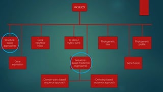 IN SILICO
Structure-
based
approaches
Gene
neighbor
hood
In silico 2
hybrid (I2H)
Phylogenetic
tree
Phylogenetic
profile
Gene fusion
Gene
expression
Sequence-
Based Prediction
Approaches
Ortholog-based
sequence approach
Domain-pairs-based
sequence approach
 