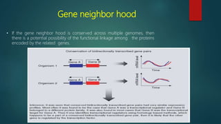 Gene neighbor hood
• If the gene neighbor hood is conserved across multiple genomes, then
there is a potential possibility of the functional linkage among the proteins
encoded by the related genes.
 