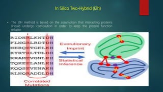 In Silico Two-Hybrid (I2h)
• The I2H method is based on the assumption that interacting proteins
should undergo coevolution in order to keep the protein function
reliable.
 