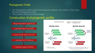 Phylogenetic Profile
• The phylogenetic profile predicts the interaction between two proteins if they share
the same phylogenetic profile.
• Two proteins Sharing functional linkage.
Construction of phylogenetic profile
Align all protein against all
Calculate best-hit profile
Joined similar species by PCA
Calculate the PC distance
Calibrate against KEGG
 