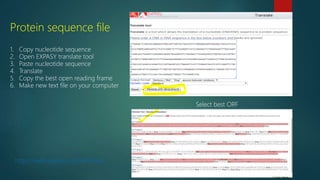 Protein sequence file
1. Copy nucleotide sequence
2. Open EXPASY translate tool
3. Paste nucleotide sequence
4. Translate
5. Copy the best open reading frame
6. Make new text file on your computer
Select best ORF
https://web.expasy.org/translate/
 