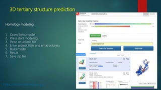 3D tertiary structure prediction
Homology modeling
1. Open Swiss model
2. Press start modeling
3. Paste or upload file
4. Enter project tittle and email address
5. Build model
6. Result
7. Save zip file
https://swissmodel.expasy.org/
 