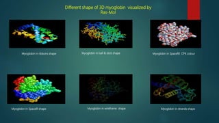 Different shape of 3D myoglobin visualized by
Ras-Mol
Myoglobin in ribbons shape Myoglobin in ball & stick shape Myoglobin in Spacefill CPK colour
Myoglobin in Spacefil shape Myoglobin in wireframe shape Myoglobin in strands shape
 