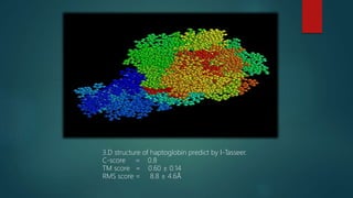 3.D structure of haptoglobin predict by I-Tasseer.
C-score = 0.8
TM score = 0.60 ± 0.14
RMS score = 8.8 ± 4.6Å
 