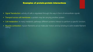 Examples of protein-protein interactions
 Signal Transduction: activity of cells is regulated through this way in form of extracellular signals
 Transport across cell membrane: a protein may be carrying another protein
 Cell metabolism: In many metabolic pathways different proteins interact to perform a specific function.
 Muscles contraction: myosin filaments act as molecular motors and by binding to actin enable filament
sliding
 
