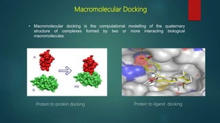 Macromolecular Docking
• Macromolecular docking is the computational modelling of the quaternary
structure of complexes formed by two or more interacting biological
macromolecules
Protein to protein docking Protein to ligand docking
 