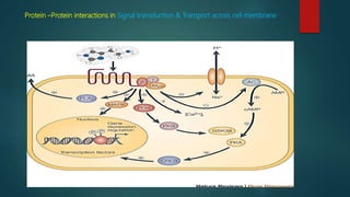 Protein –Protein interactions in Signal transduction & Transport across cell membrane
 