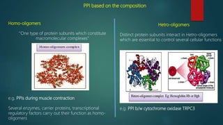 PPI based on the composition
Homo-oligomers
‘’One type of protein subunits which constitute
macromolecular complexes”
e.g. PPIs during muscle contraction
Several enzymes, carrier proteins, transcriptional
regulatory factors carry out their function as homo-
oligomers
Hetro-oligomers
Distinct protein subunits interact in Hetro-oligomers
which are essential to control several cellular functions
e.g. PPI b/w cytochrome oxidase TRPC3
 