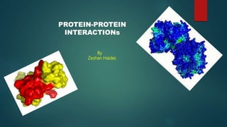 PROTEIN-PROTEIN
INTERACTIONs
By
Zeshan Haider,
 