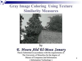 Gray Image Coloring Using Texture
       Similarity Measures




                             by
   E. Noura Abd El-Moez Semary
    Thesis Submitted in accordance with the requirements of
          The University of Monofiya for the degree of
             Master of Computers and Information              1
                  ( Information Technology )
 