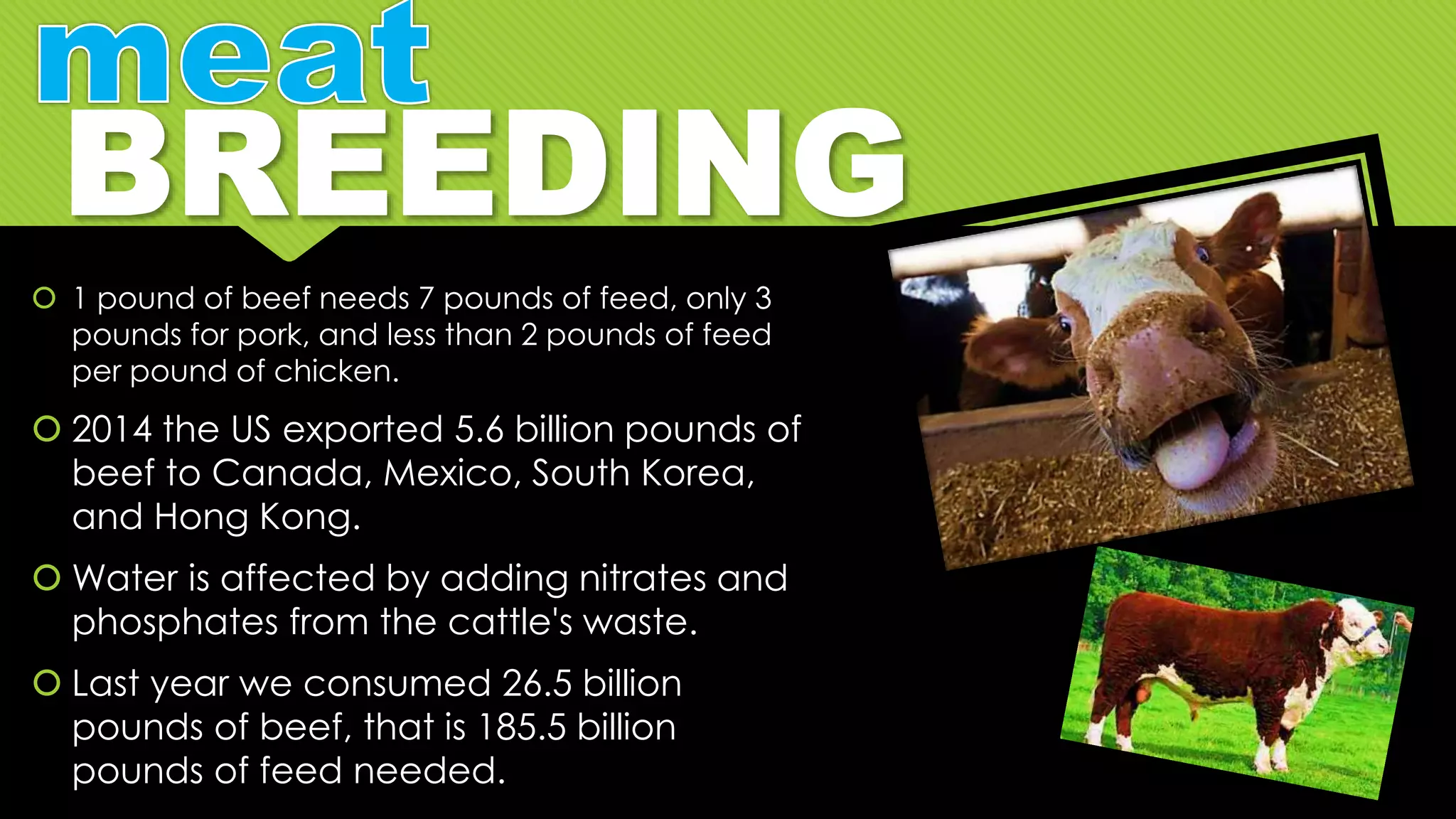  1 pound of beef needs 7 pounds of feed, only 3
pounds for pork, and less than 2 pounds of feed
per pound of chicken.
 2014 the US exported 5.6 billion pounds of
beef to Canada, Mexico, South Korea,
and Hong Kong.
 Water is affected by adding nitrates and
phosphates from the cattle's waste.
 Last year we consumed 26.5 billion
pounds of beef, that is 185.5 billion
pounds of feed needed.
 
