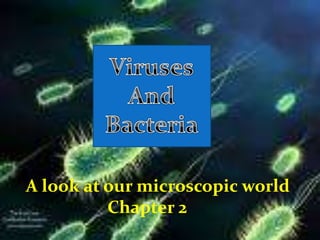 Viruses And Bacteria A look at our microscopic world                      Chapter 2 
