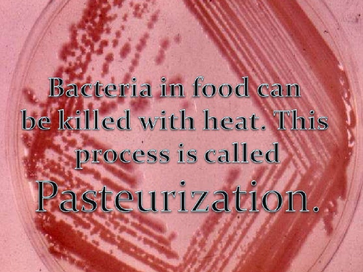 Final Presentation For Ci776 For Slideshare