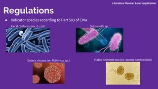 Literature Review: Land Application
Regulations
● Indicator species according to Part 503 of CWA
Fecal coliforms (ex. E. coli) Salmonella sp.
Enteric viruses (ex. Poliovirus sp.) Viable helminth ova (ex. Ascaris lumbricoides)
 
