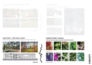 CASE STUDY • MFO PARK, ZURICH
Raderschall Landschaftsarchitekten Ag + Burckhardt & Partner Ag
CASE STUDY • RED RIBBON PARK, CHINA
Turenscape
Character
Identity
& Coherence
MATERIAL • Steel
Steel would contrast with the massive concrete structure.
It is much lighter, weight wise as well as texture wise.
Grated Steel
Steel Flooring
Steel Wire Rope Steel chain
LIVING SYSTEM • Climbers
Climbers would blend in perfectly with the overall “hybrid infrastructure system” by using the
verticality of the infrastructure (climbing up, hanging down, wrapping structural elements,etc.)
Shade Tolerant
Shade Intolerant
CONCEPT
 