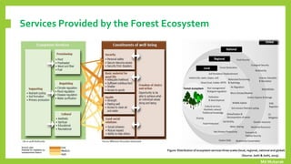 Forest Resources of the World and Bangladesh | PDF