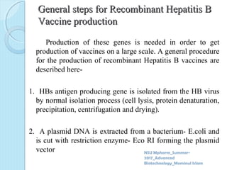 Hepatitis B Vaccine Production