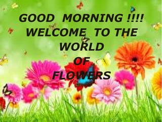 GOOD MORNING !!!!
WELCOME TO THE
WORLD
OF
FLOWERS
 