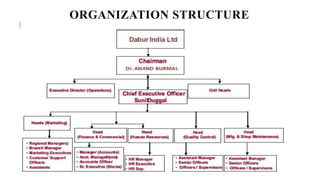 ORGANIZATION STRUCTURE
 