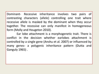 Stuy on inheritence pattern and frequency of genetic trait for earlobes ...