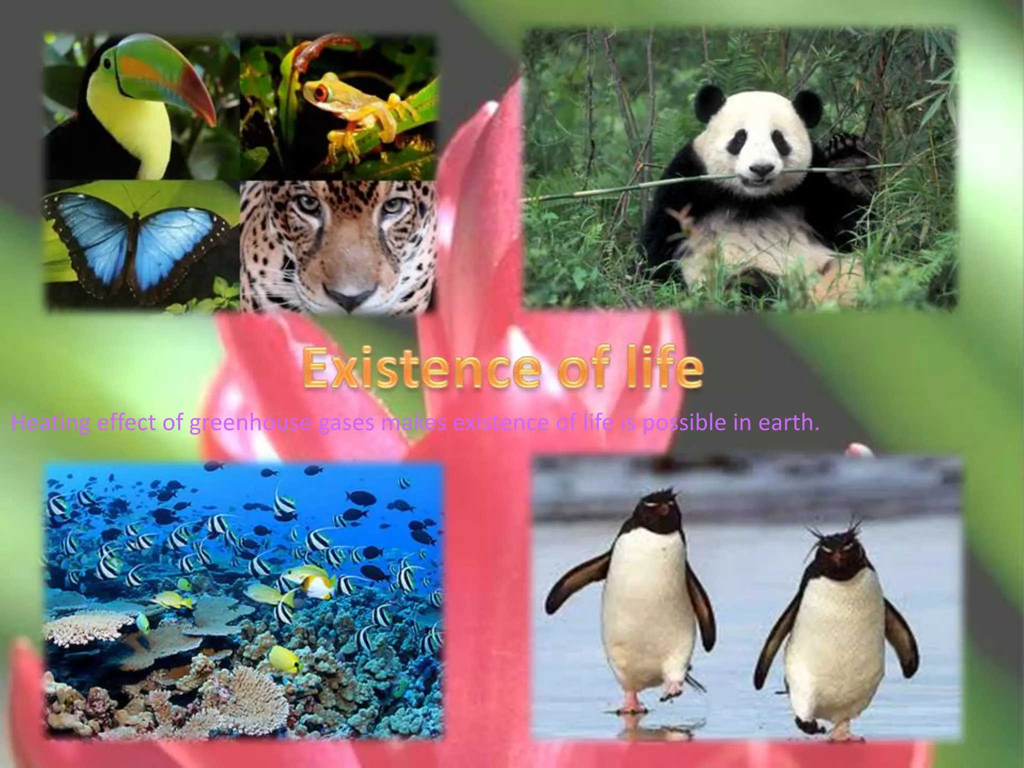 Heating effect of greenhouse gases makes existence of life is possible in earth.
 