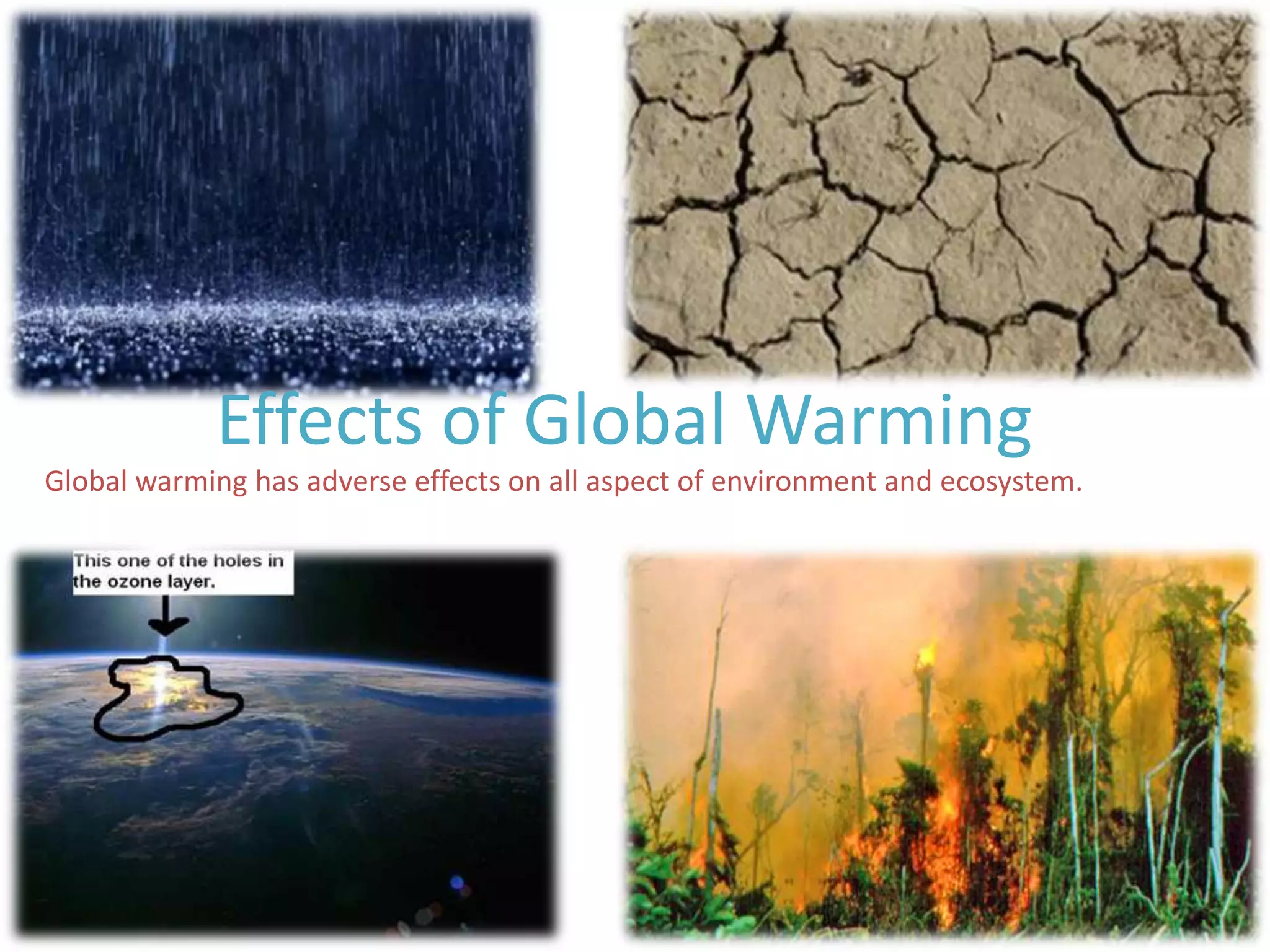 Effects of Global Warming
Global warming has adverse effects on all aspect of environment and ecosystem.
 