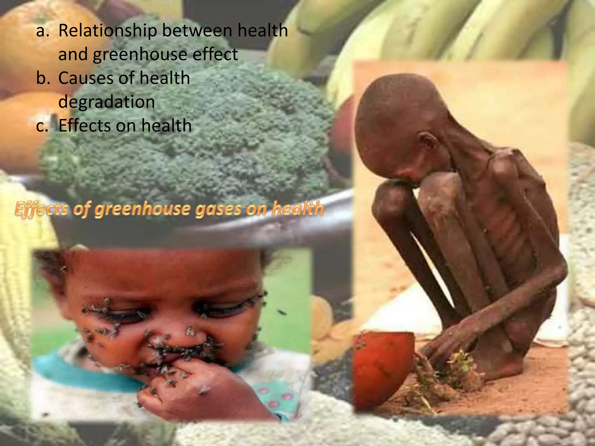 a. Relationship between health
   and greenhouse effect
b. Causes of health
   degradation
c. Effects on health
 