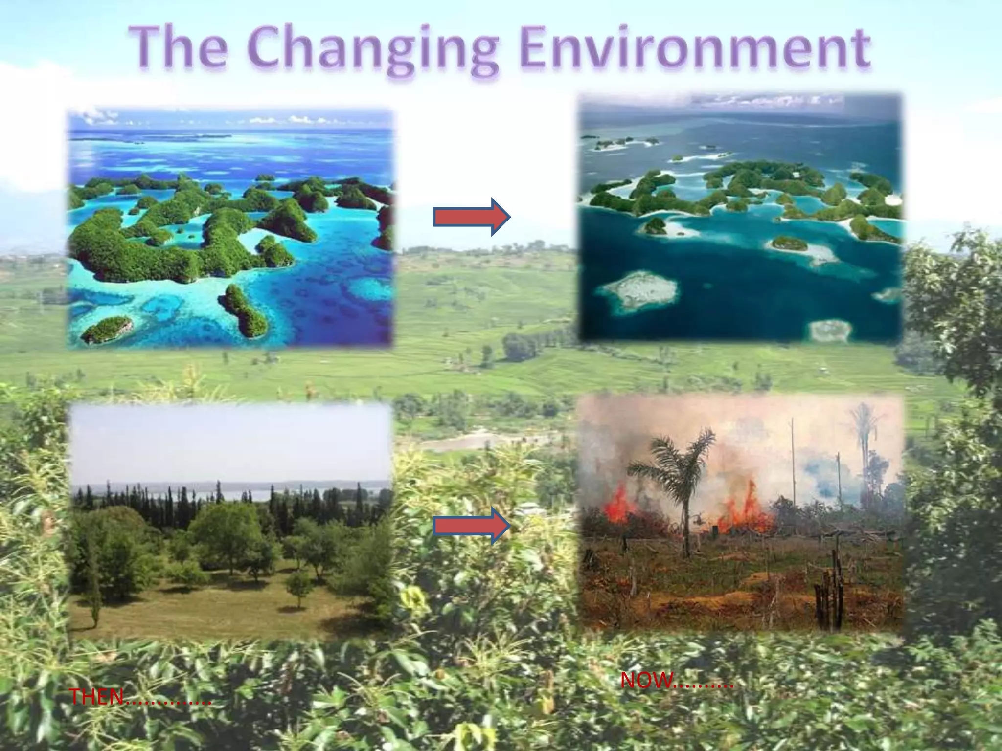 NOW..........
THEN..............
 