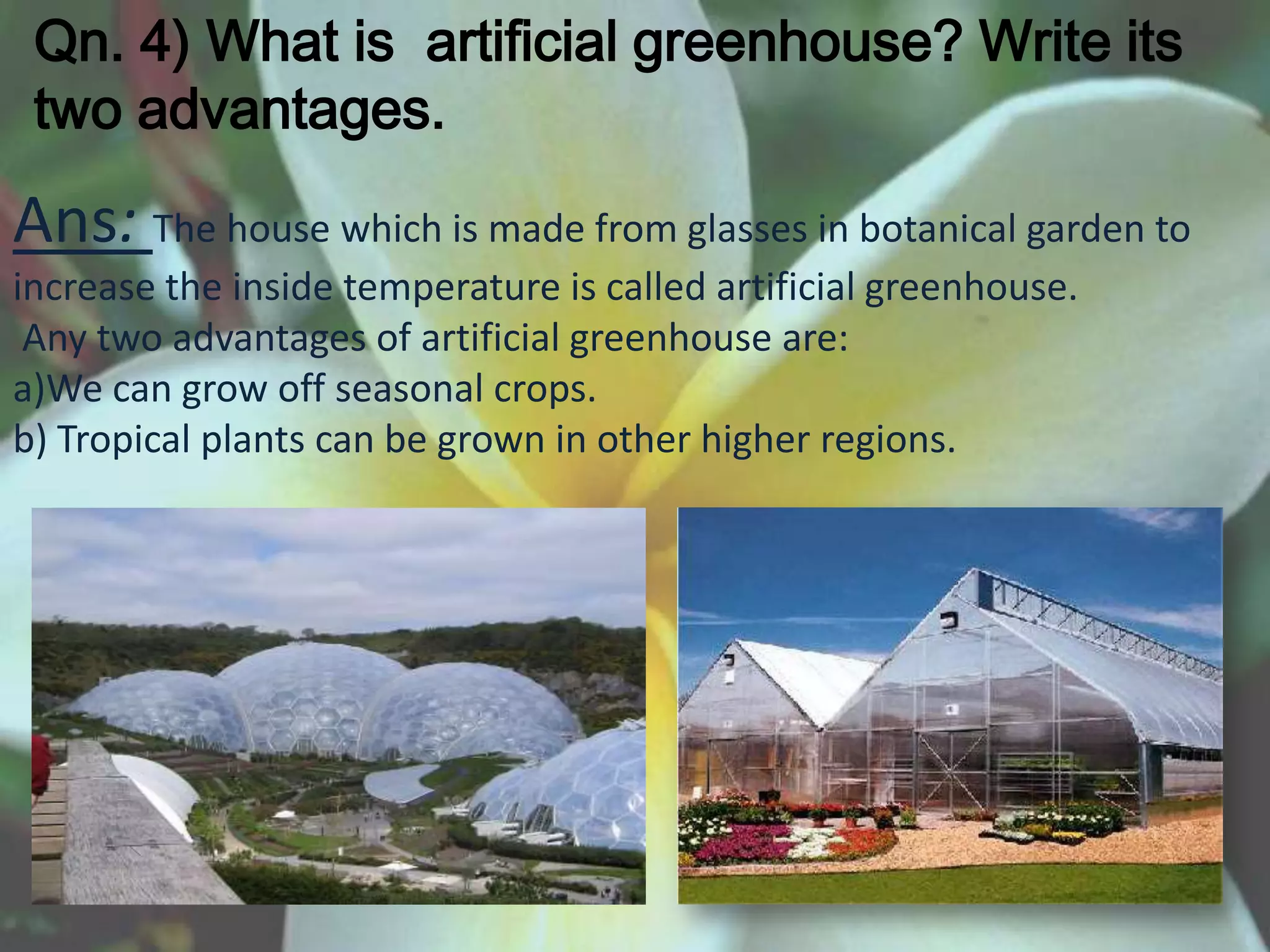 Qn. 4) What is artificial greenhouse? Write its
 two advantages.

Ans: The house which is made from glasses in botanical garden to
increase the inside temperature is called artificial greenhouse.
 Any two advantages of artificial greenhouse are:
a)We can grow off seasonal crops.
b) Tropical plants can be grown in other higher regions.
 