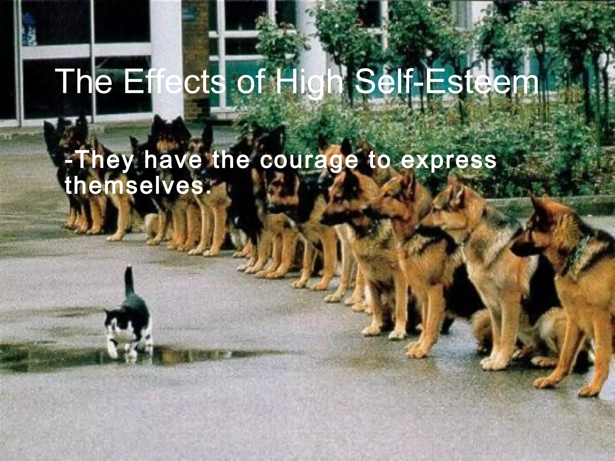 The Effects of High Self-Esteem
-They have the courage to express
themselves.

 