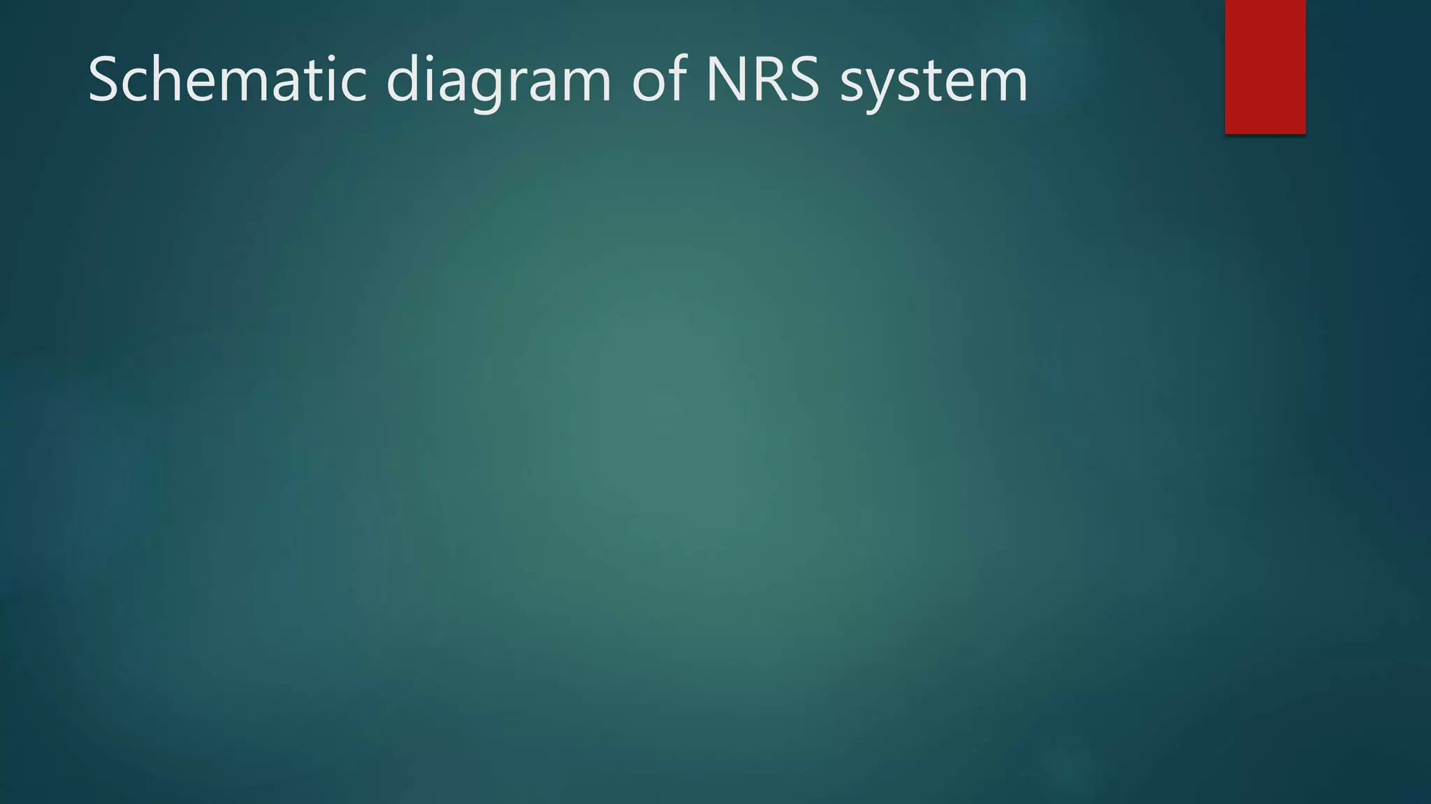 Schematic diagram of NRS system
 