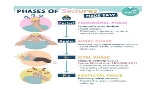 pathophysiology of epilepsy, seizures, phases of seizures. | PPTX