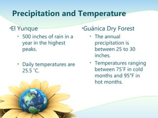 •El Yunque
• 500 inches of rain in a
year in the highest
peaks.
• Daily temperatures are
25.5 ˚C.
•Guánica Dry Forest
• The annual
precipitation is
between 25 to 30
inches.
• Temperatures ranging
between 75˚F in cold
months and 95˚F in
hot months.
Precipitation and Temperature
 