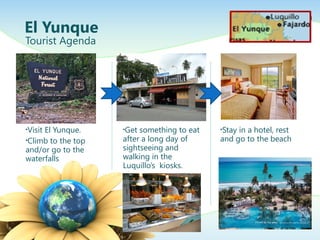 El Yunque
Tourist Agenda
•Visit El Yunque.
•Climb to the top
and/or go to the
waterfalls
•Get something to eat
after a long day of
sightseeing and
walking in the
Luquillo’s kiosks.
•Stay in a hotel, rest
and go to the beach
 