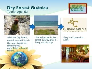 Dry Forest Guánica
Tourist Agenda
•Visit the Dry Forest
•Watch amazed how in
the same island can
there be two
completely different
forests.
•Get refreshed in the
beach nearby after a
long and hot day
•Stay in Copamarina
hotel
 