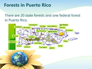 There are 20 state forests and one federal forest
in Puerto Rico.
Forests in Puerto Rico
 