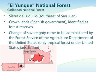 • Sierra de Luquillo (southeast of San Juan)
• Crown lands (Spanish government), identified as
forest reserves.
• Change of sovereignty came to be administered by
the Forest Service of the Agriculture Department of
the United States (only tropical forest under United
States jurisdiction)
“El Yunque” National Forest
Caribbean National Forest
 